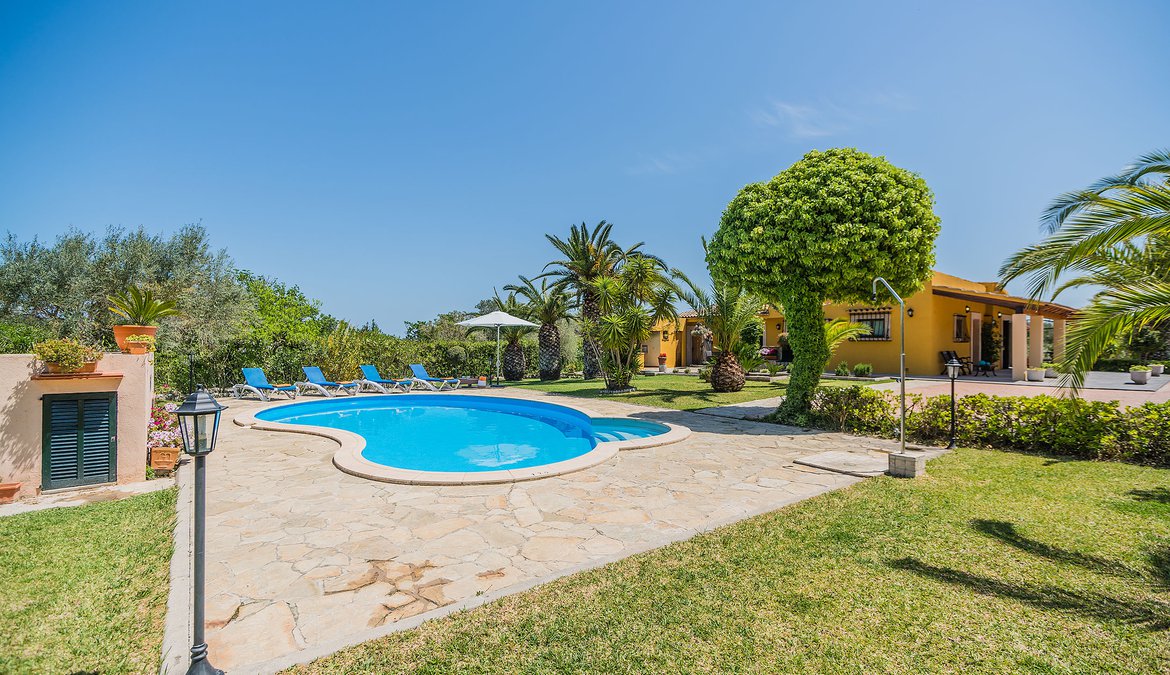 Pool and garden